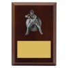 Plaque - Male Fielding