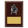 Plaque - Female Fielding