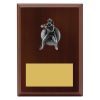 Plaque - Female Fielding - Image 2