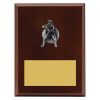Plaque - Female Fielding - Image 3