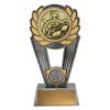 Polaris Trophy - Image 3