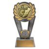 Polaris Trophy - Image 3