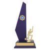 Blue Starboard - Image 3