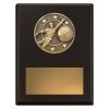 Challenge Plaque - Fielding - Image 2