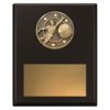 Challenge Plaque - Fielding - Image 3