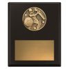 Challenge Plaque - Batting - Image 3