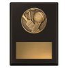 Challenge Plaque - Cricket - Image 2