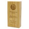 Prospect Award - Large