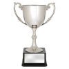 Recognition Cups - Image 2