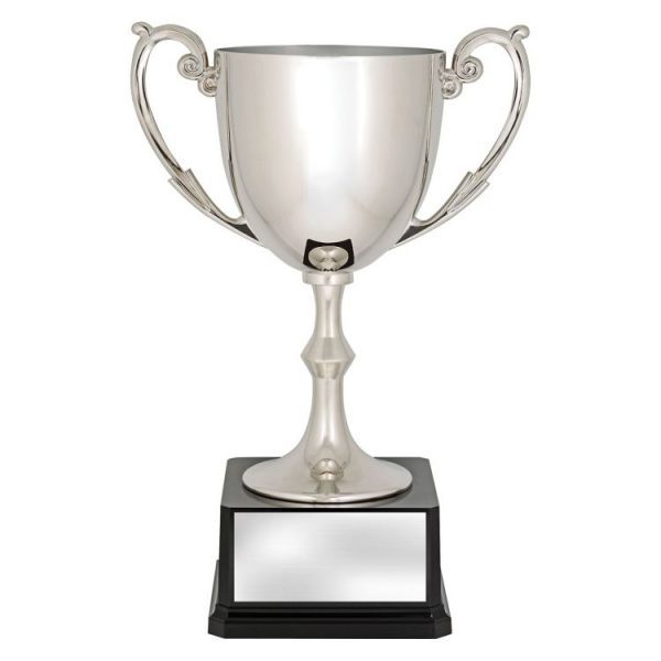 Recognition Cups - Image 5