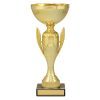 Guardian Cup - Image 2