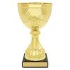 Community Cup
