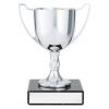 Cast Cup - Image 2