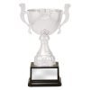 Silver Turin - Image 2