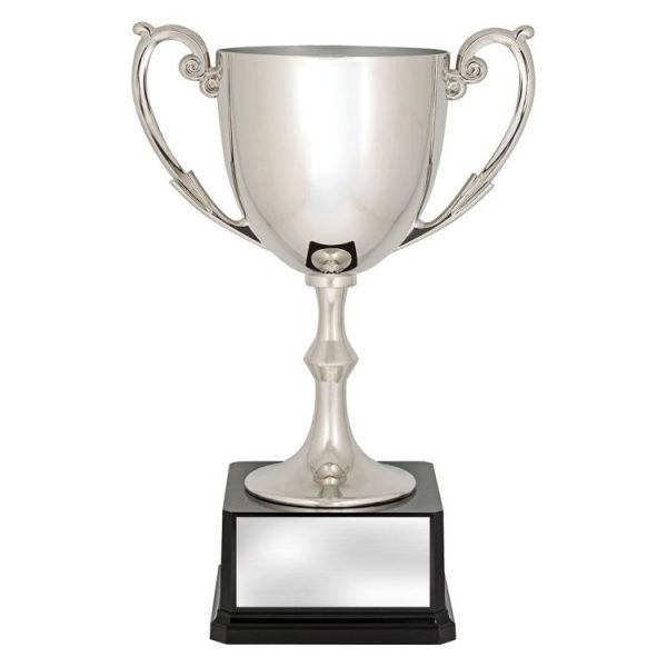 Recognition Cups