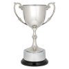 Recognition Cups - Image 2