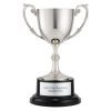 Recognition Cups