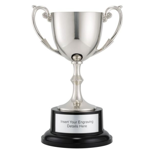 Recognition Cups
