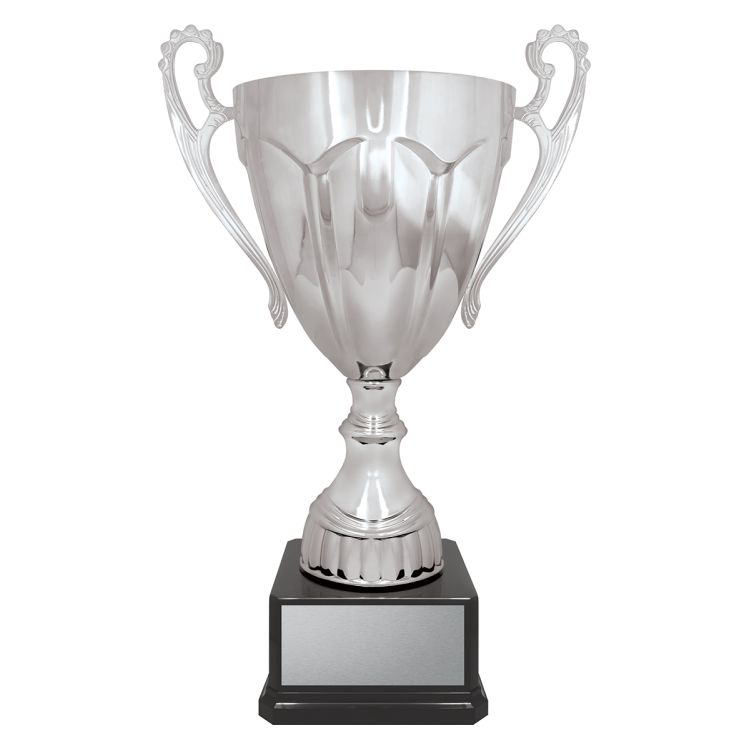 Rubicon Silver Cup - Image 8