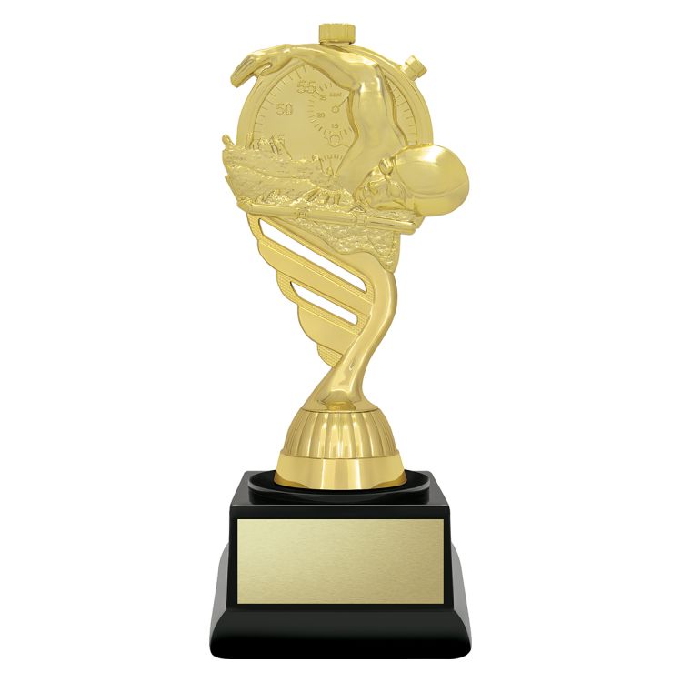 Budget Gold - Swim - Image 2