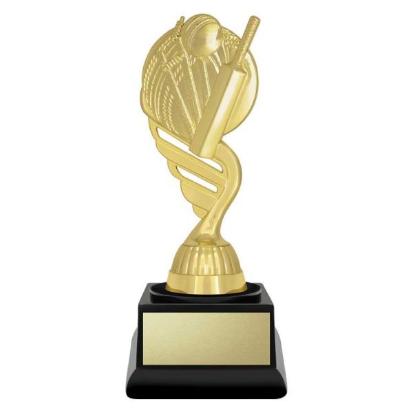 Budget Gold – Cricket