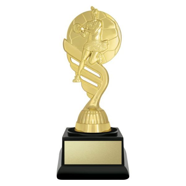 Budget Gold – Netball
