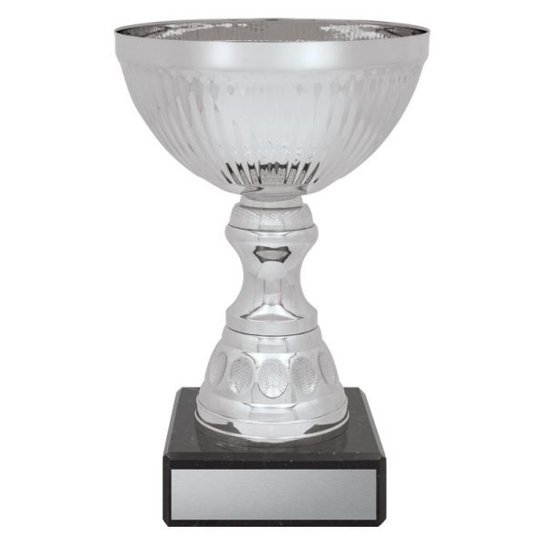 Reverie Cup – Silver