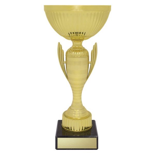 Guardian Cup - Image 3