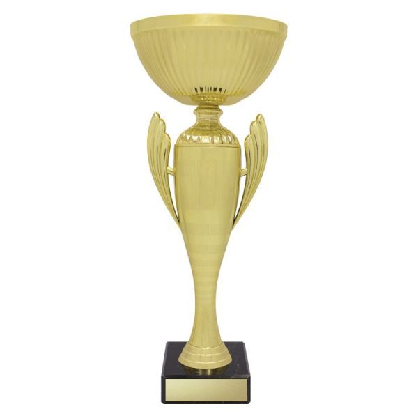 Guardian Cup - Image 4