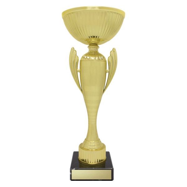 Guardian Cup - Image 5