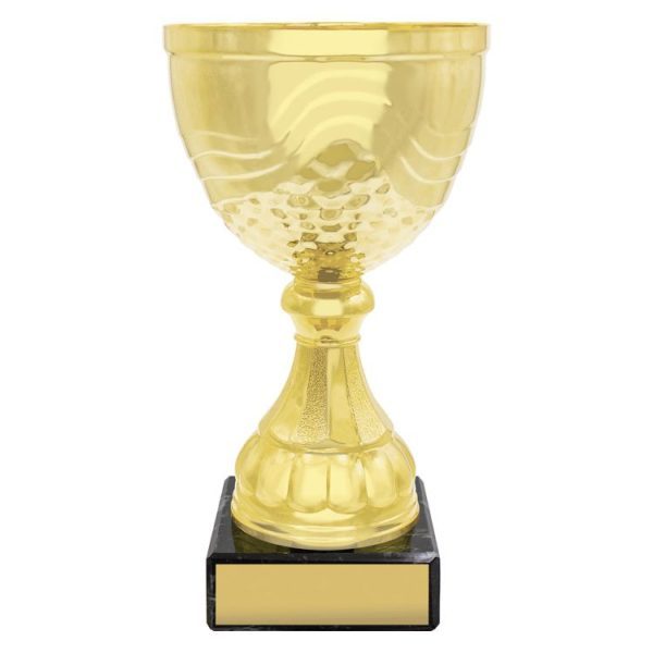 Community Cup