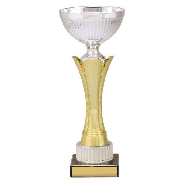 Equity – Gold & Silver
