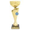 Inspire Cup