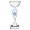 Silver Vector Cup