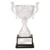 Silver Turin - Image 2