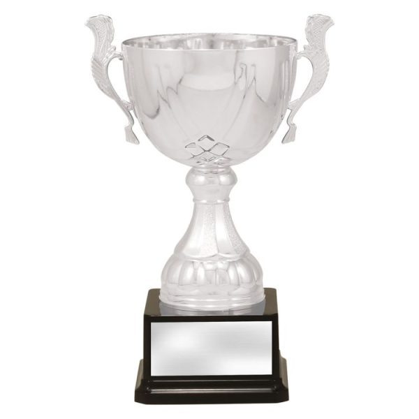 Silver Turin - Image 3