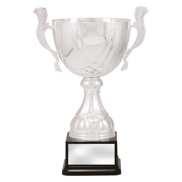 Silver Turin - Image 4