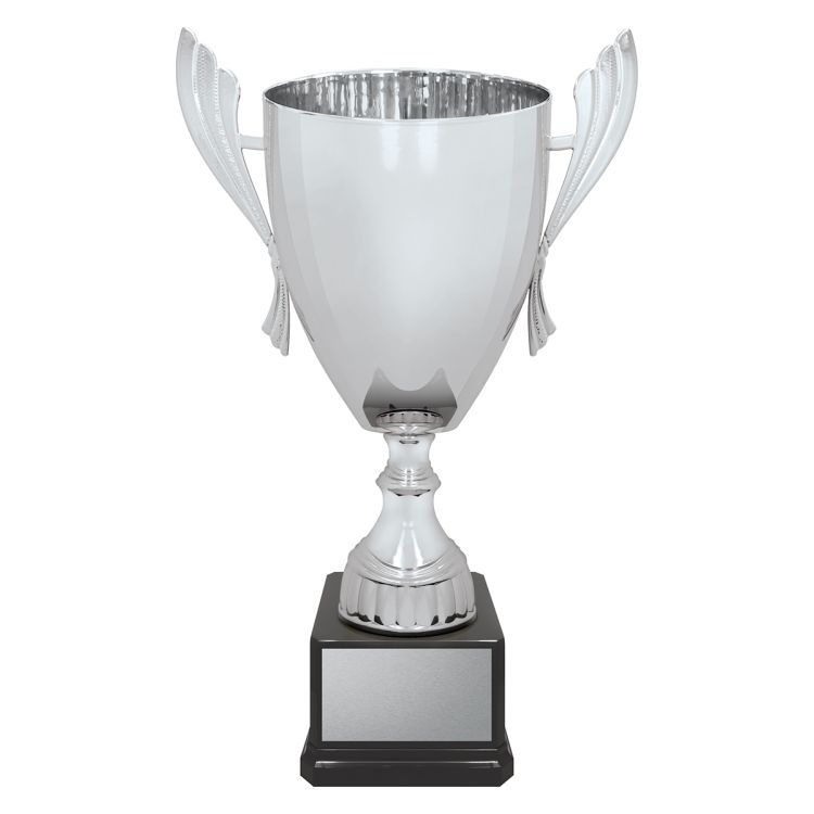 Ironside Cup - Silver