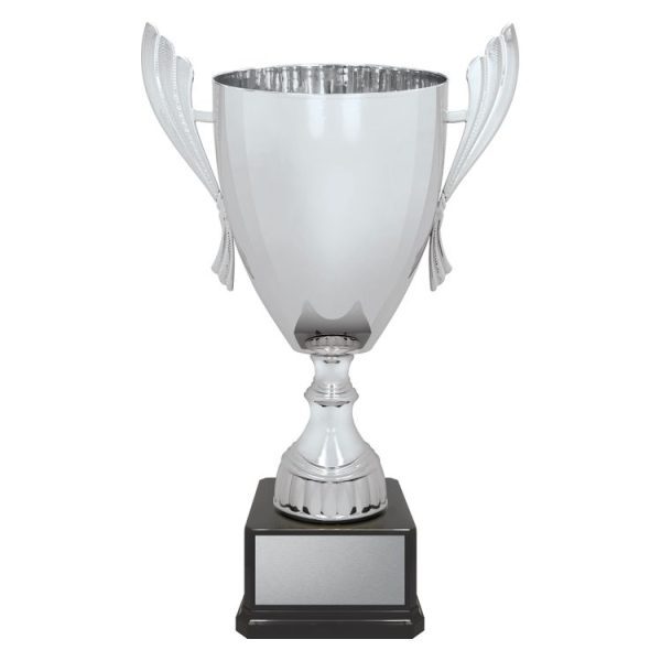 Ironside Cup – Silver