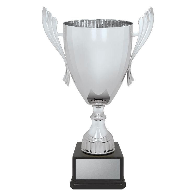 Ironside Cup - Silver - Image 2