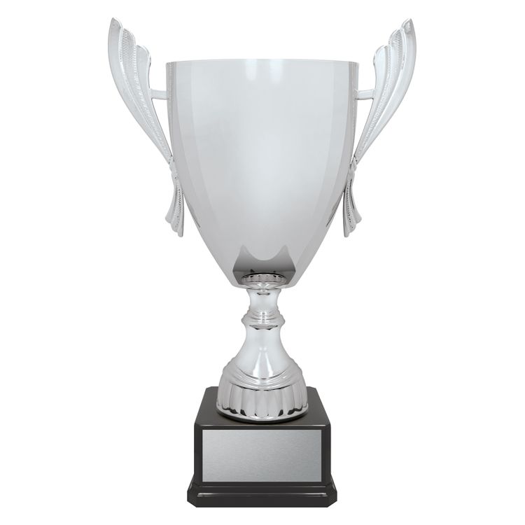 Ironside Cup - Silver - Image 4