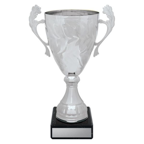 Silver Eternal Cups