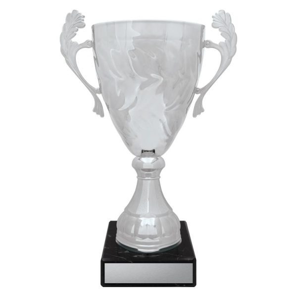 Silver Eternal Cups - Image 5