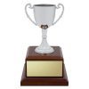 Classic Silver Cup