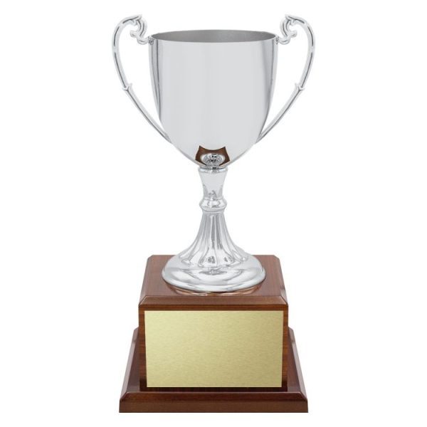 Classic Silver Cup - Image 3