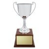 Classic Silver Cup - Image 4