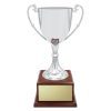 Classic Silver Cup - Image 5