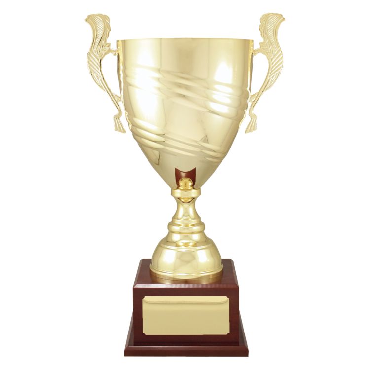 Gold Prestige Cup - Image 3
