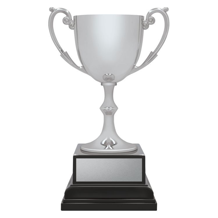 Ace Recognition Silver