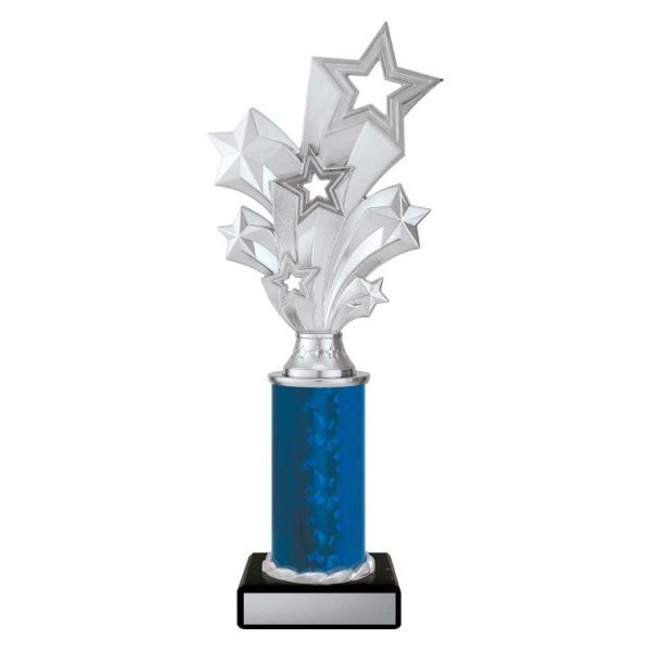 Silver Starburst - Image 4